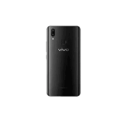 Vivo X21