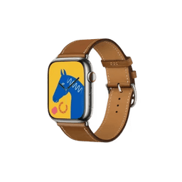Apple Watch Series 7 Hermes (GPS + Cellular) Hermes